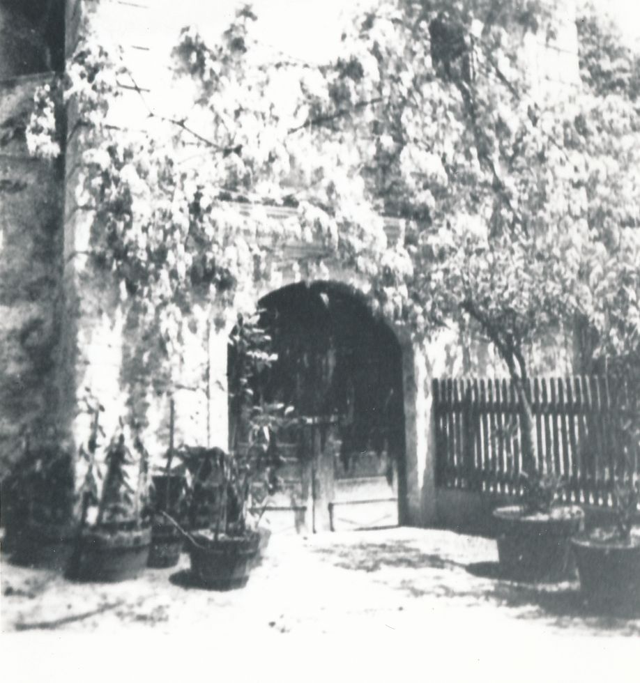 eika image